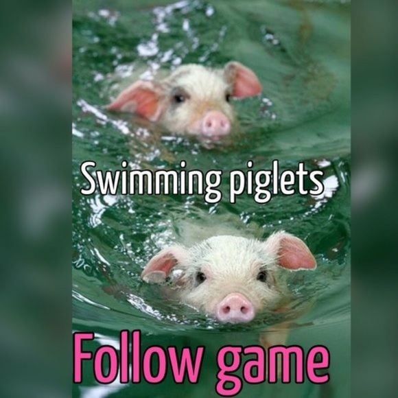 FollowGame Other - PLEASE HELP ME GET TO❤75,000 is my GOAL🤩